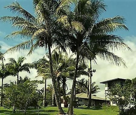 Island Goode'S - Luxury Adult Only Accommodation Near Hilo Papaikou Dış mekan fotoğraf