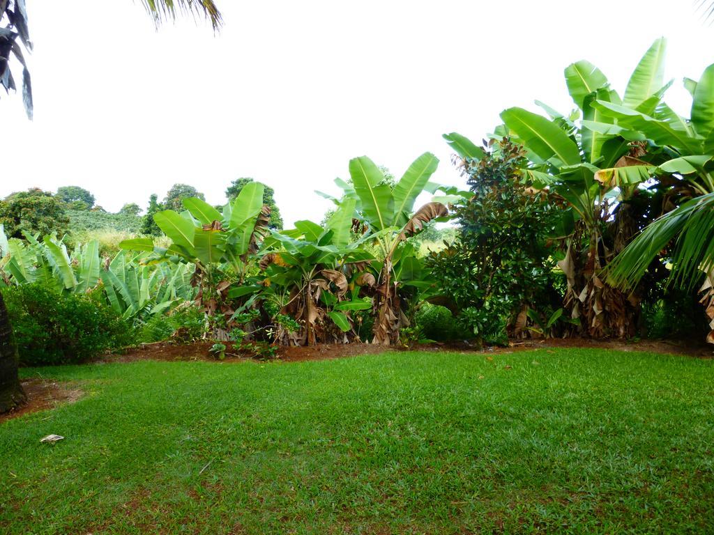 Island Goode'S - Luxury Adult Only Accommodation Near Hilo Papaikou Dış mekan fotoğraf