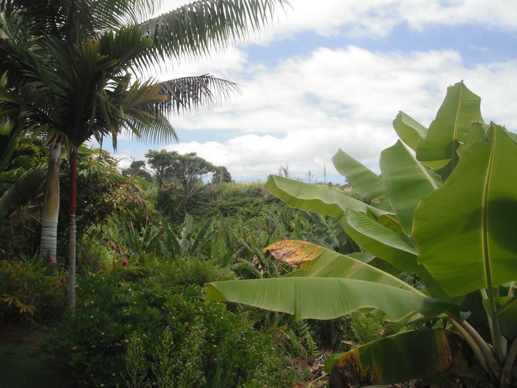 Island Goode'S - Luxury Adult Only Accommodation Near Hilo Papaikou Dış mekan fotoğraf
