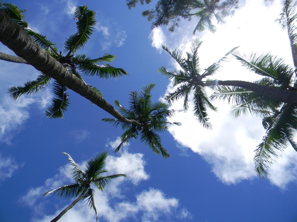 Island Goode'S - Luxury Adult Only Accommodation Near Hilo Papaikou Dış mekan fotoğraf