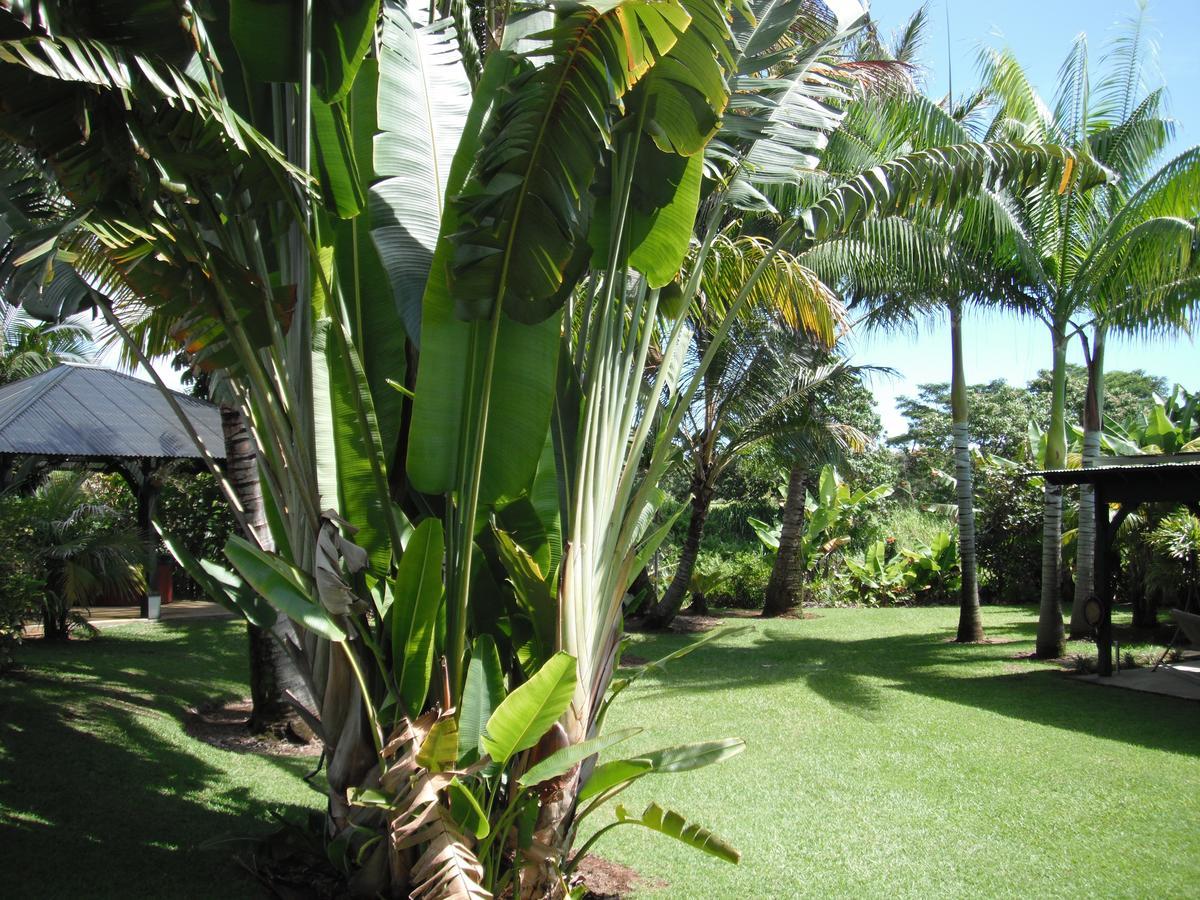 Island Goode'S - Luxury Adult Only Accommodation Near Hilo Papaikou Dış mekan fotoğraf