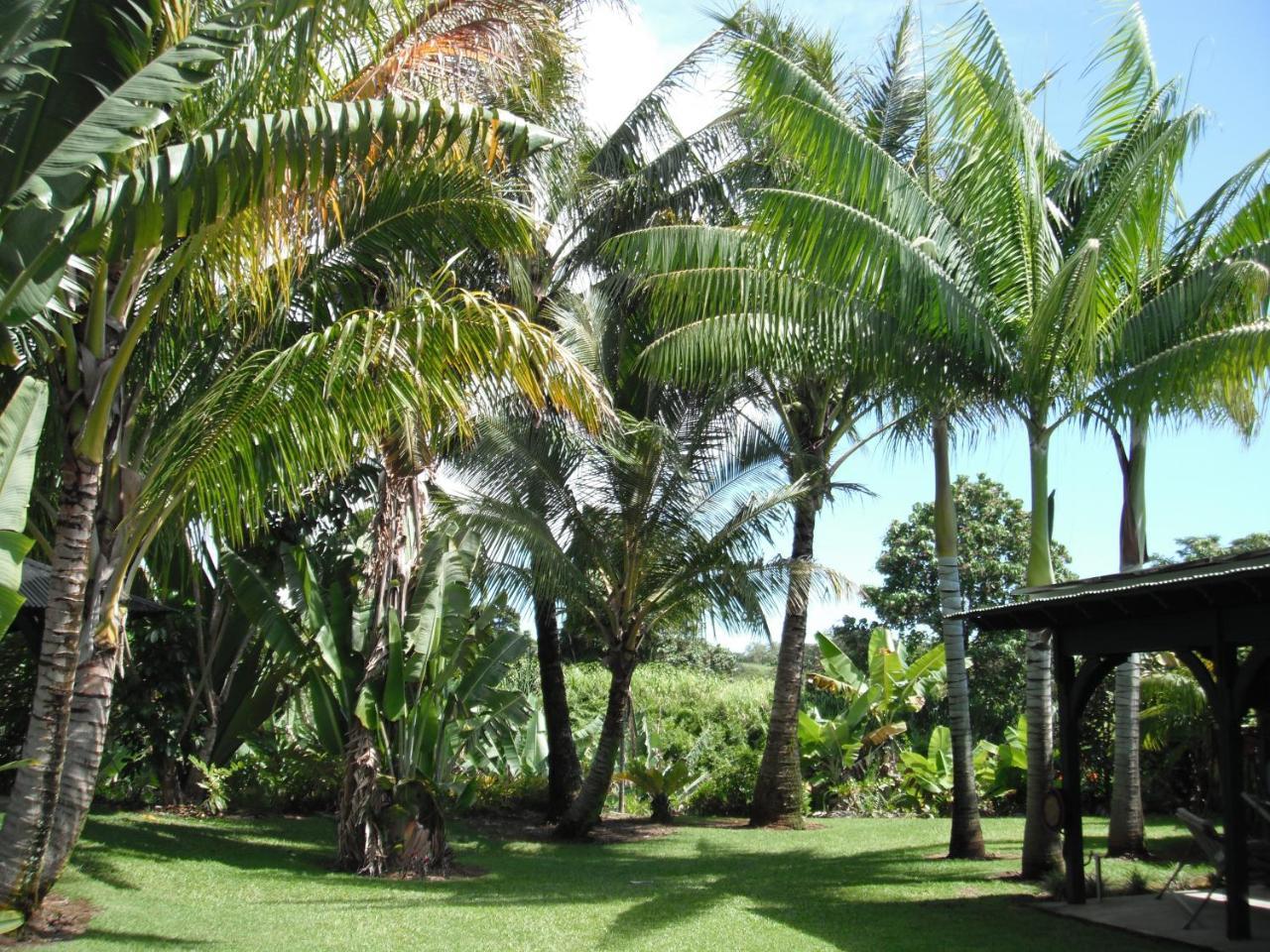 Island Goode'S - Luxury Adult Only Accommodation Near Hilo Papaikou Dış mekan fotoğraf