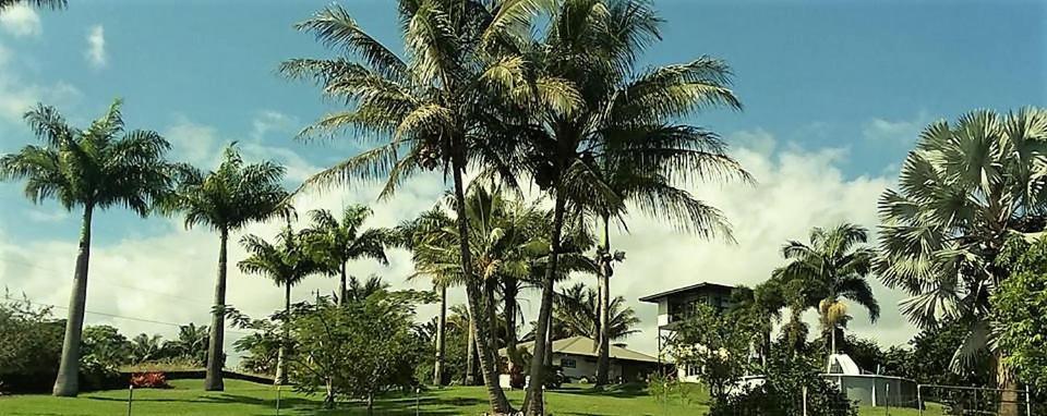 Island Goode'S - Luxury Adult Only Accommodation Near Hilo Papaikou Dış mekan fotoğraf